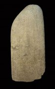 32000年前的石器时代人类就已经